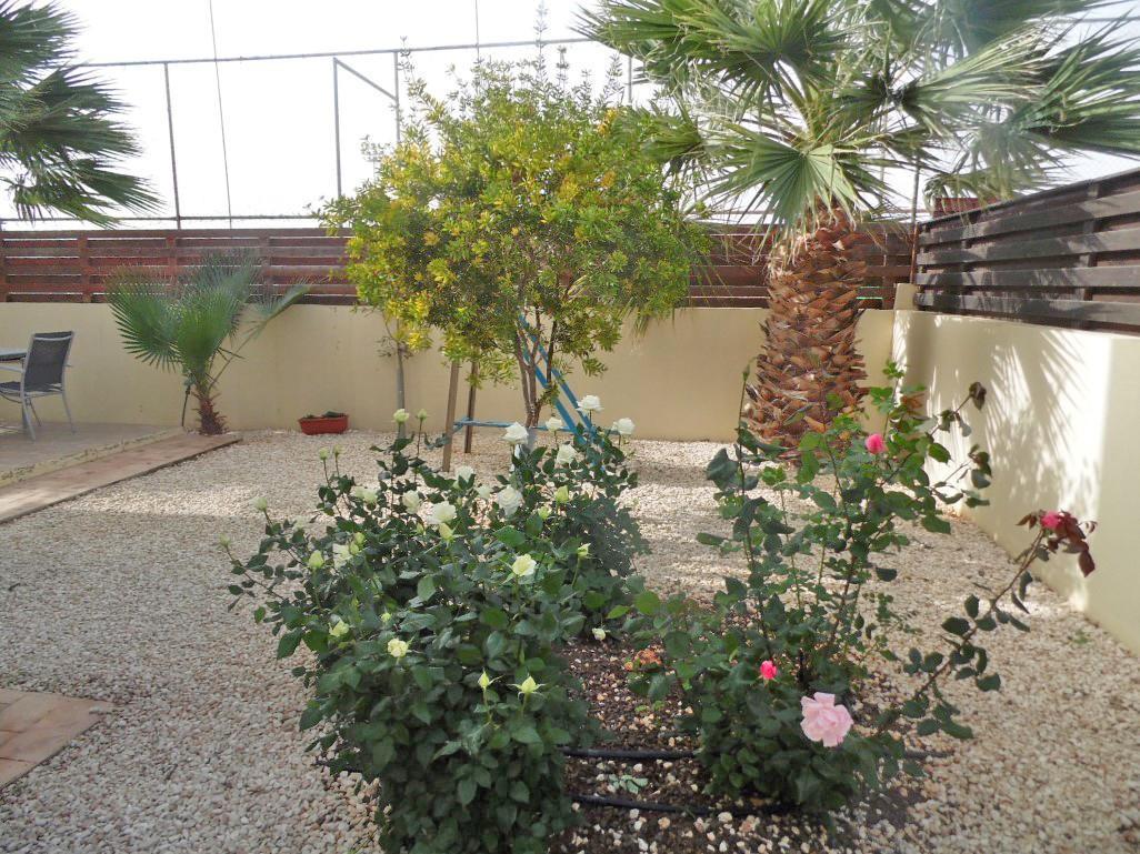 Villa Favor - 3 Bed With Pool Close To Nissi Beach Agia Napa Exterior foto